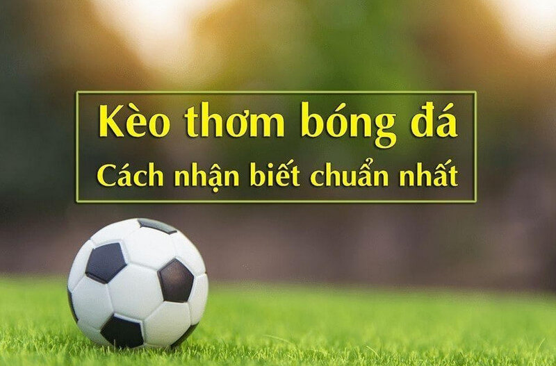 Hướng dẫn cách chọn kèo thơm trong bóng đá chi tiết 