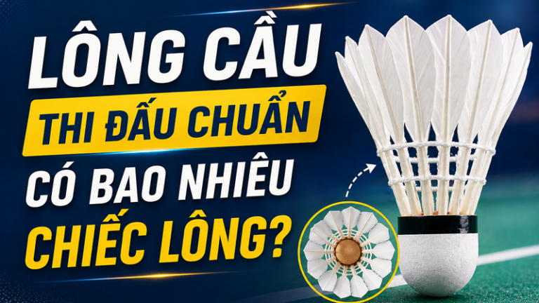 Sự thật thú vị về lông cầu thi đấu chuẩn có bao nhiêu chiếc lông?