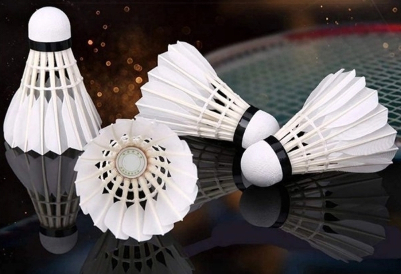 16 chiếc lông giúp quả cầu bay ổn định, giữ đúng quỹ đạo và tạo độ xoáy phù hợp khi thi đấu. 