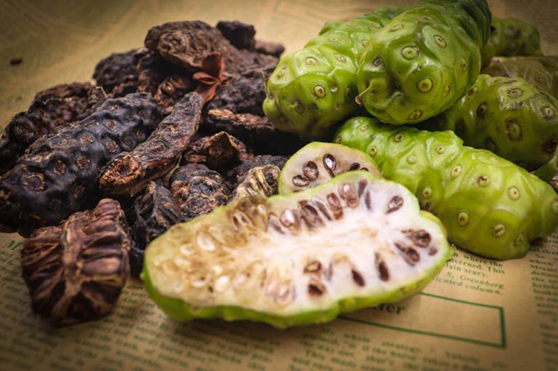 Trái nhàu là loại quả dân gian có mùi đặc trưng, thường được dùng dưới dạng tươi, khô, ngâm rượu hoặc ngâm đường phèn. 