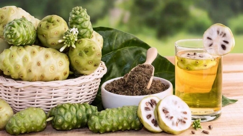 Dùng trái nhàu nên bắt đầu với lượng nhỏ, chọn nguyên liệu rõ nguồn gốc và theo dõi phản ứng của cơ thể. 