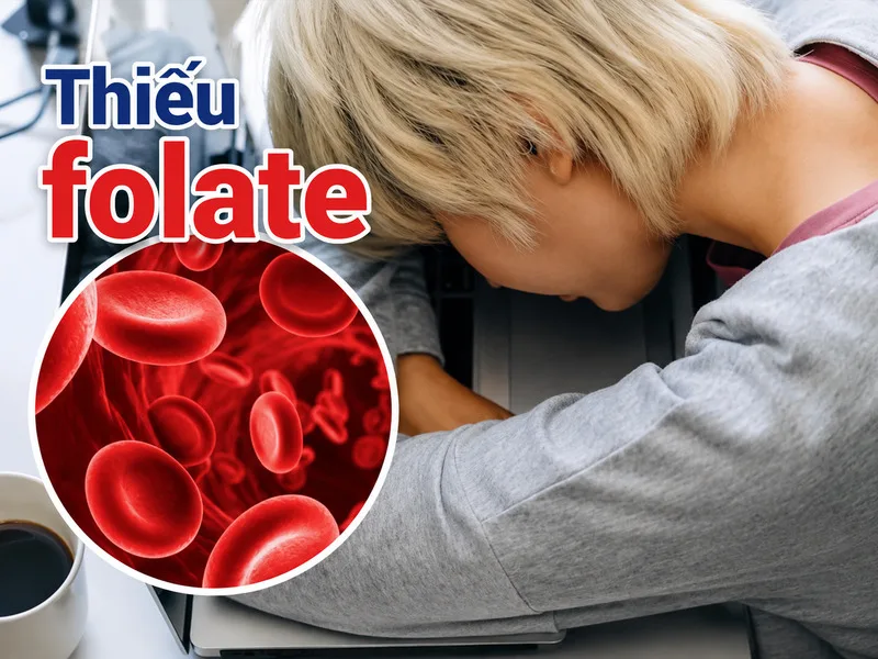 Folate tham gia quá trình tạo hồng cầu; thiếu hụt kéo dài có thể liên quan đến thiếu máu và cảm giác suy nhược.